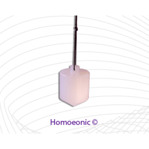Pendulum